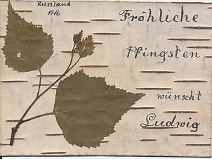 Ludwig sends Happy Pentecost wishes from Russia on a card of birch bark decorated with a sprig. Pentecost, the Christian celebration of the descent of the Holy Spirit on Christ's Apostles, fell on June 11 in 1916.
Text:
Fröhliche Pfingsten wünscht Ludwig
Russland 1916
Ludwig wishes you a joyous Pentecost
Russia 1916