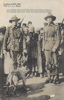 ANZACs IN Egypt, 1915 — Australian Soldiers with Bulldog Mascots, possibly ready for deployment to Gallipoli. The message on the reverse is dated June 2, 1915; the landing at Gallipoli began on April 25, 1915.
Text:
La Guerre 1914-1915
193 R.P.-J.C. Paris
Les bulldogs "mascottes" des soldats Australiens en Egypte.
The bulldogs "mascottes" of the Australian soldiers in Egypt.
Reverse:
Message dated June 2, 1915
